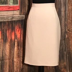 NWOT Pencil Skirt
